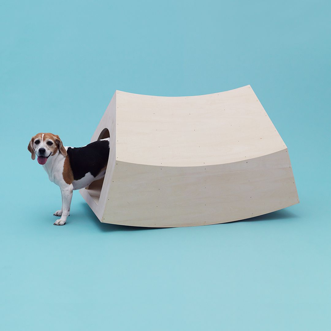 Dog kennel