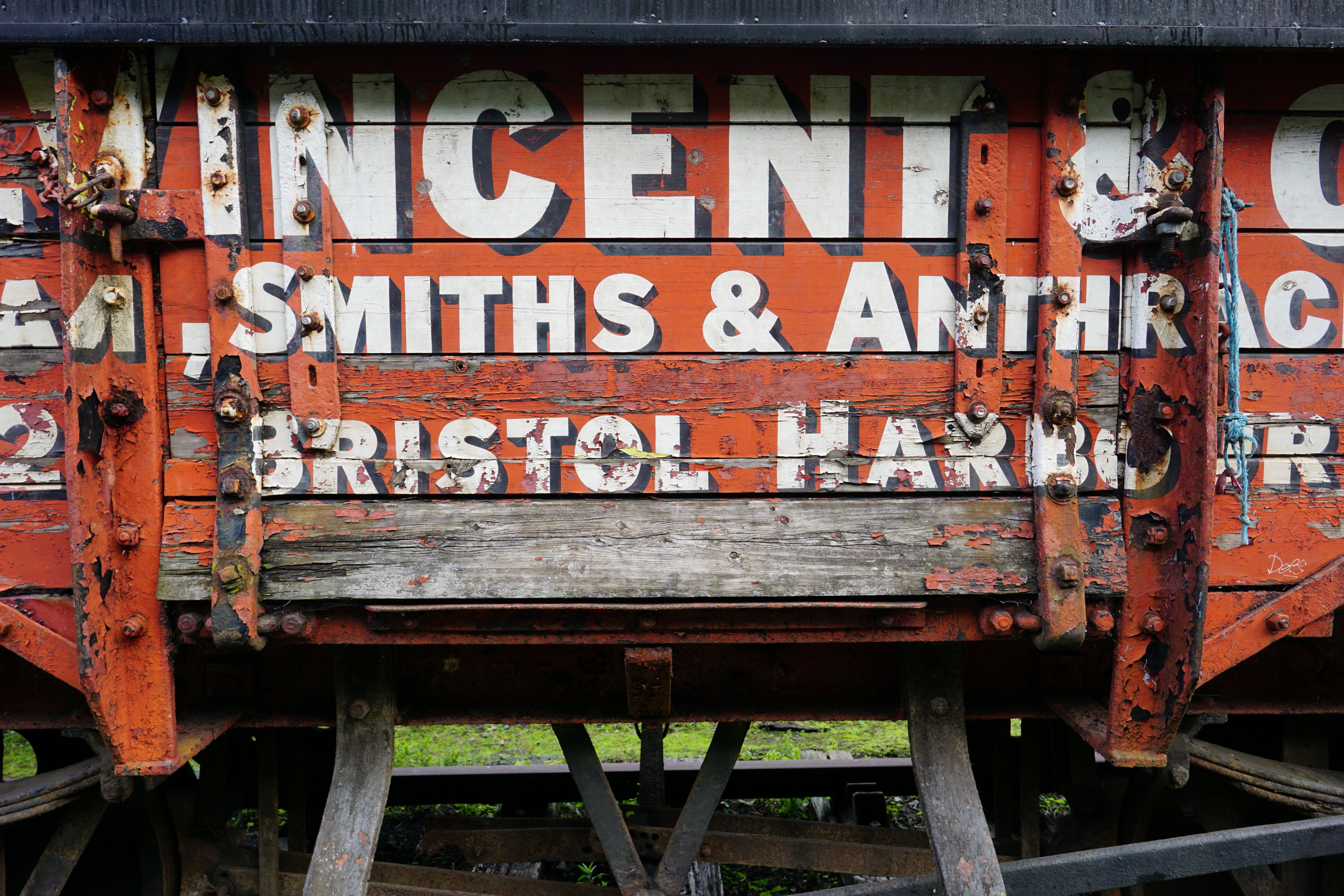 Sigma 15mm f/1.4 DC | C sample image