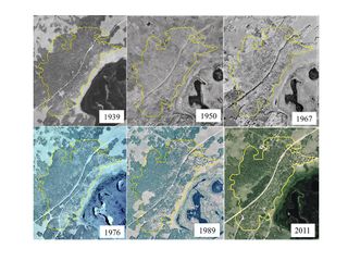 A series of aerial photographs shows the thinning of the aspen clone in Utah.