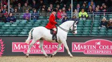 2024 Royal Windsor cob championship