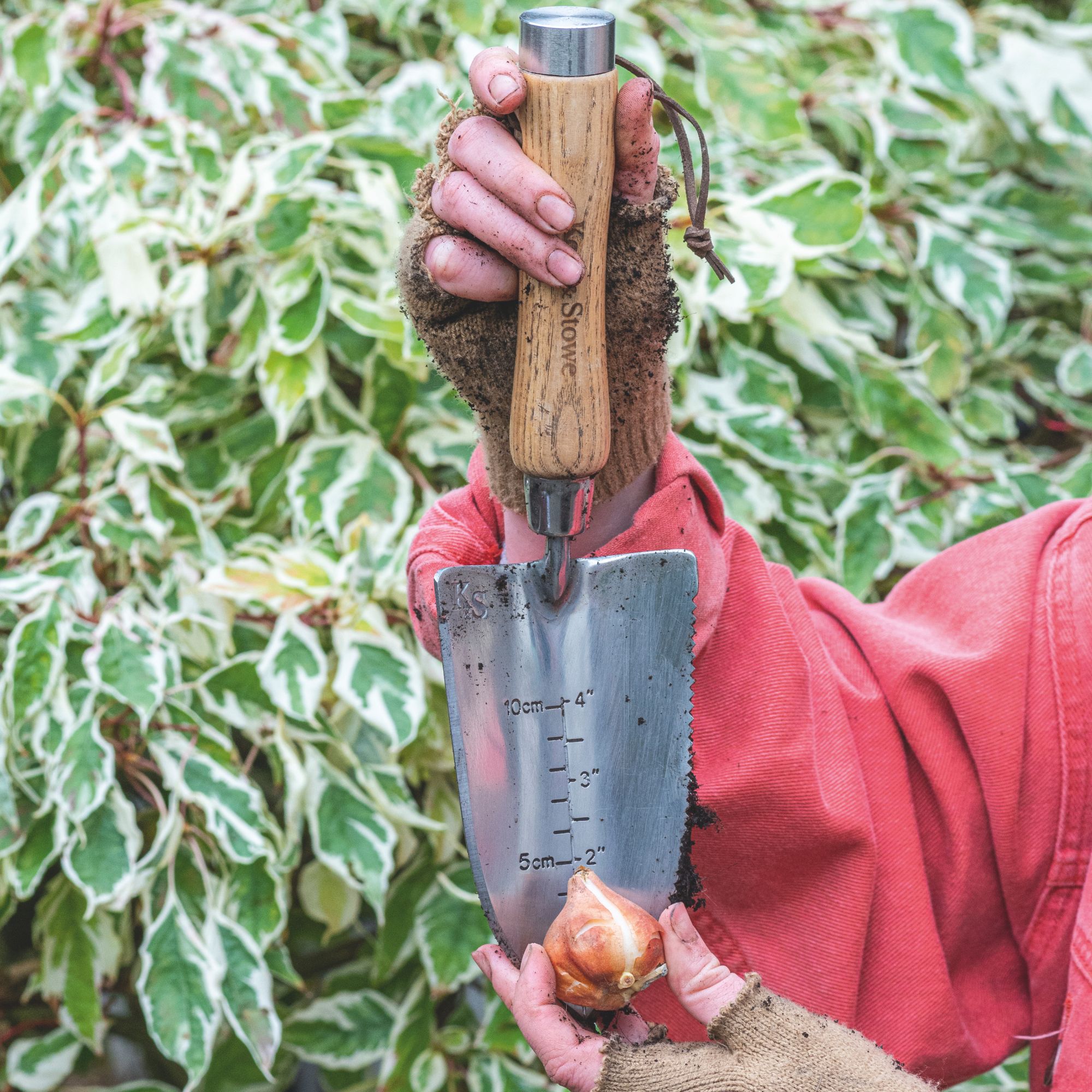 bulb planting with hand trowel