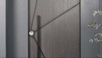 Doma door system in action