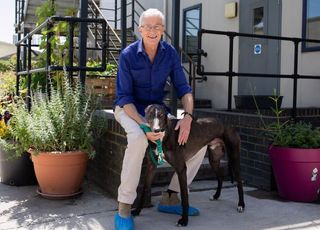 Paul and Sidney Paul O’Grady: For the Love of Dogs