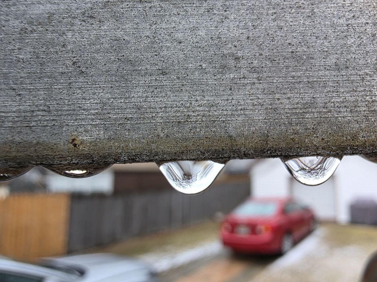 Samsung Galaxy S25 Ultra macro sample.