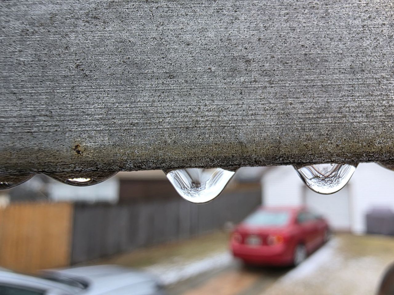 Samsung Galaxy S25 Ultra macro sample.