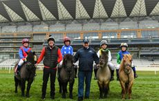 Shetland-Pony-Grand-National_Olympia_18PN_455-2.jpg