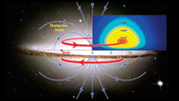 Magnetic fields seen in the halo of the Milky Way