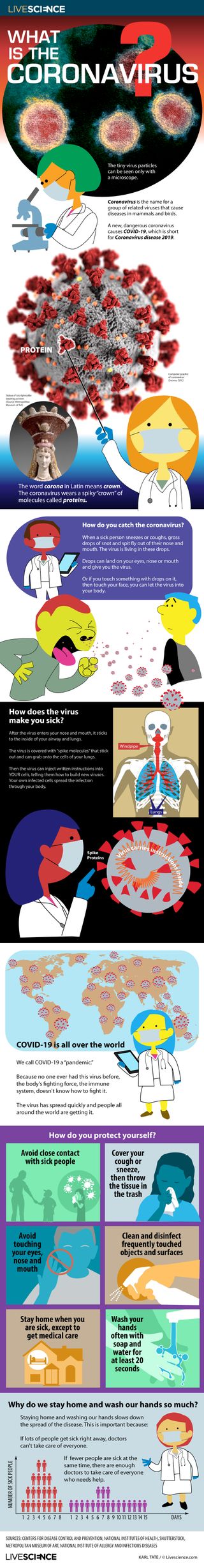 Infographic for kids on the coronavirus.