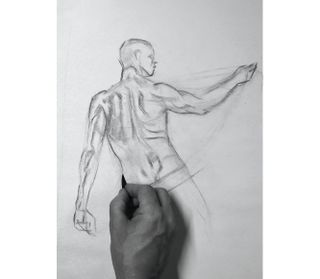 muscle figure drawing