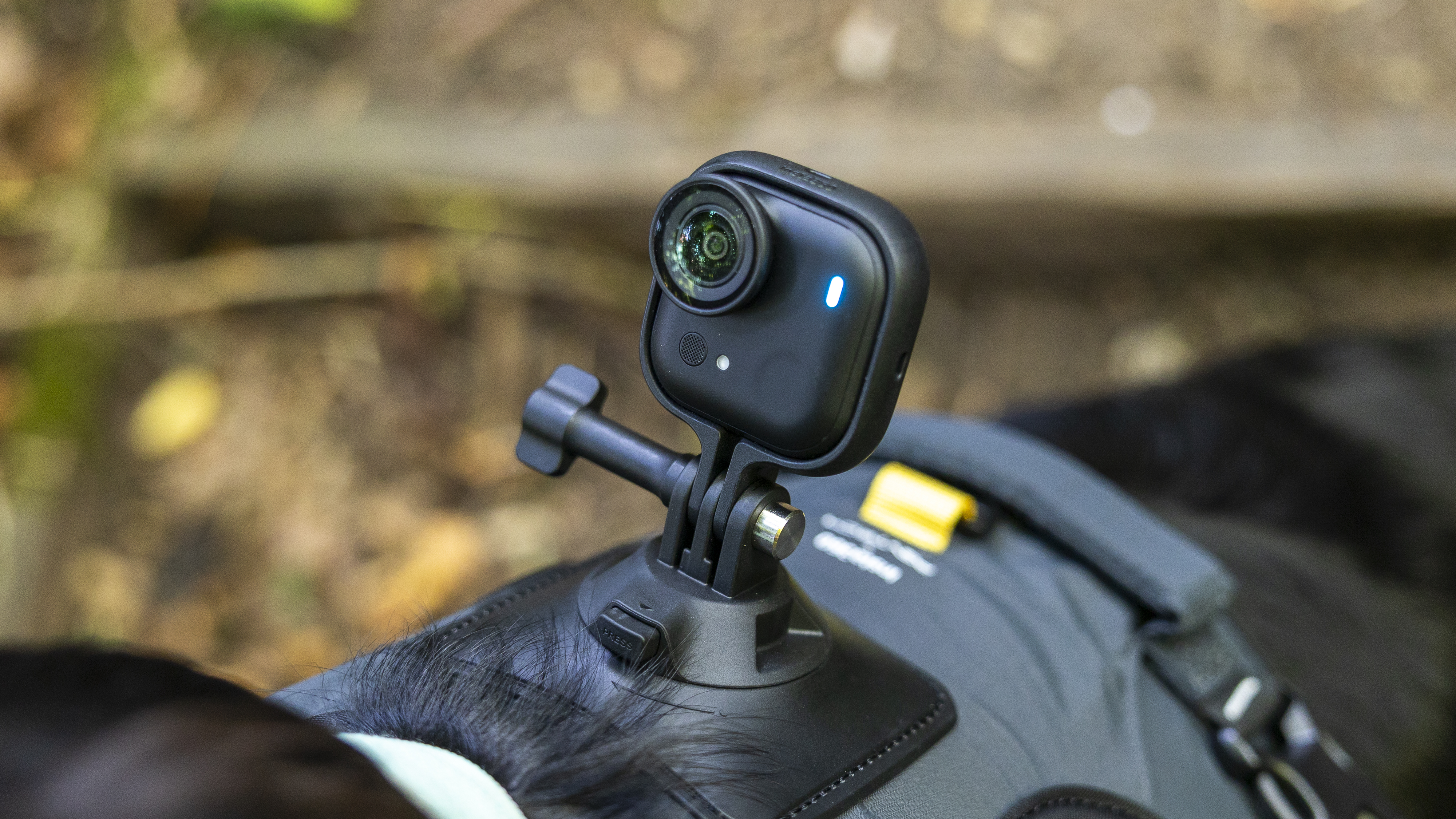 The Insta360 GO Ultra camera mounted on a pet harness on a black dog