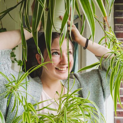 Girl holds spider plant above her head smiling