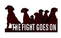 HHFight.jpg