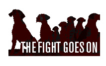 HHFight.jpg
