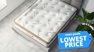 A photo of the Saatva HD mattress from above, with a large plant in a pot next to it and a Tom's Guide badge saying "LOWEST PRICE"