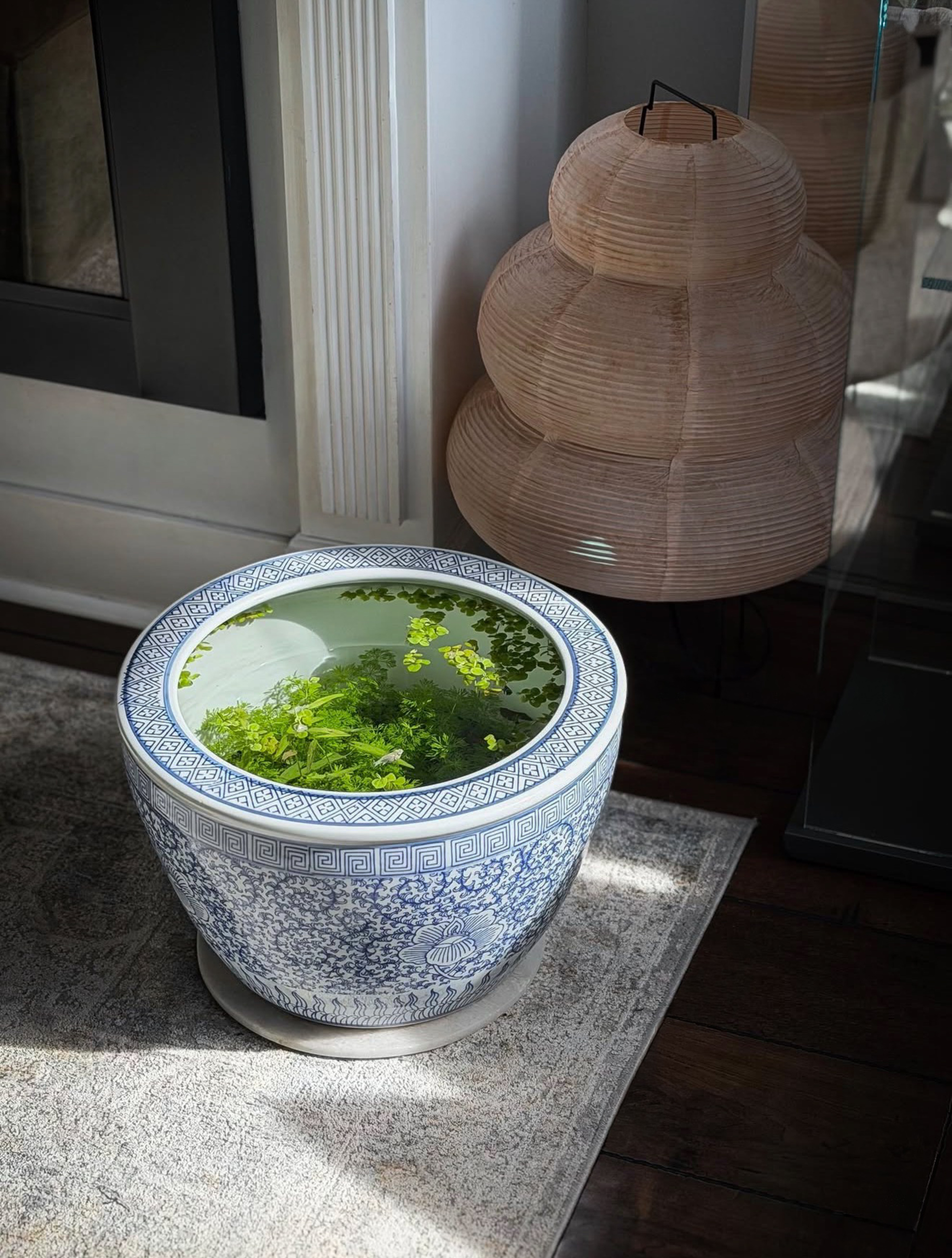indoor pond in front of paper lantern on rug near fireplace
