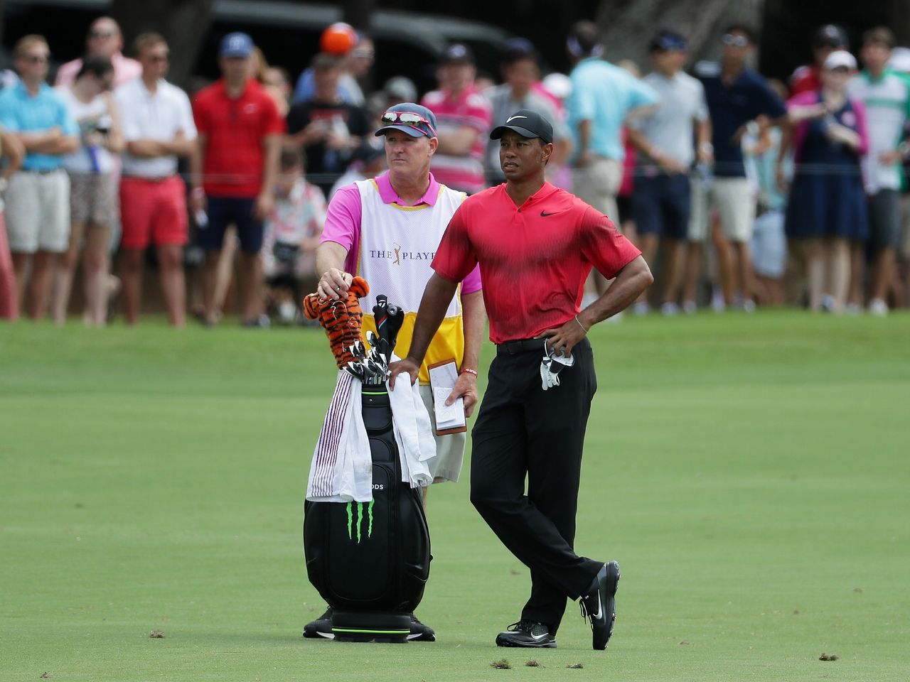 Golfer Pays $50,000 To Caddie For Tiger Woods