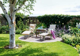 landscaping around trees ideas: two sun loungers on patio with silver birch nearby