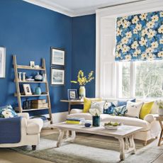 A calm and decluttered living room, painted in French blue