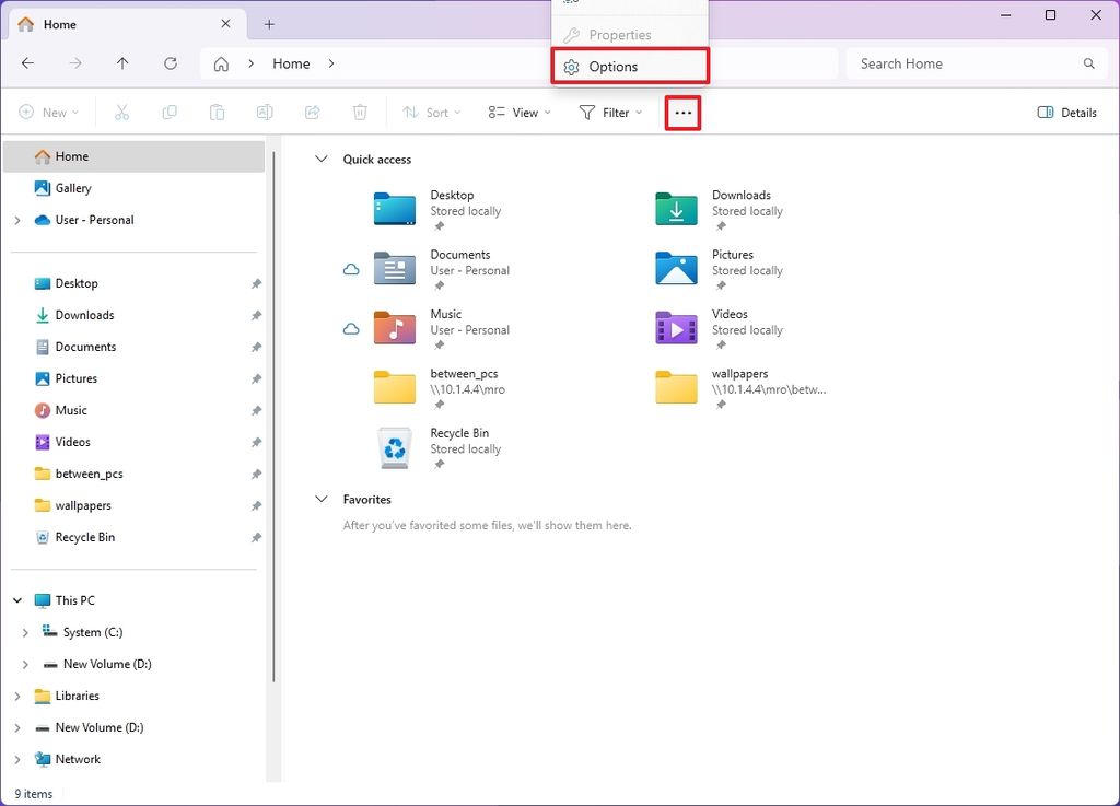 File Explorer open Options