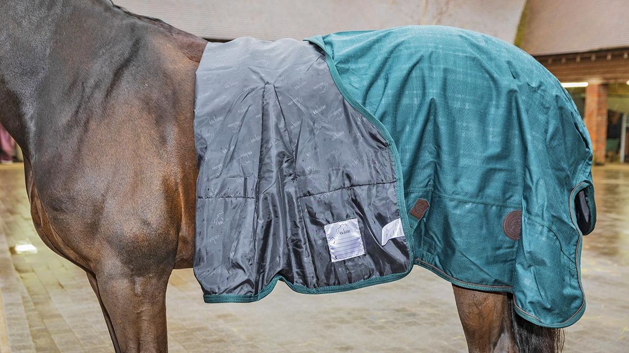 Felix B&uuml;hler Timeless Elegance high-neck turnout rug review