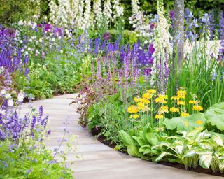 garden borders featuring mixed planting