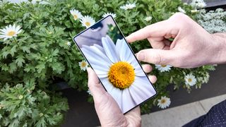 Samsung Galaxy S25 Ultra display showing flower photo