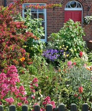 rich urban garden