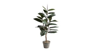 Best indoor plants: artificial