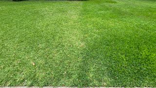 Comparison of yard cut by Automower 450XH and yard outside of mow area