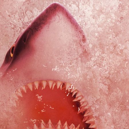 Shark&nbsp;Week nickname for your period.