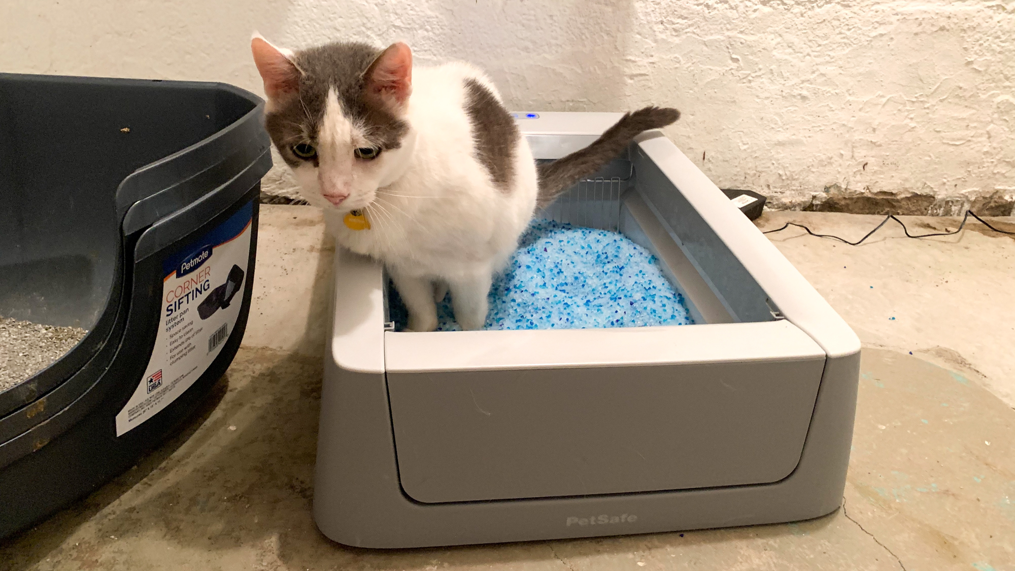 Petsafe ScoopFree Smart Self-Cleaning Litterbox review