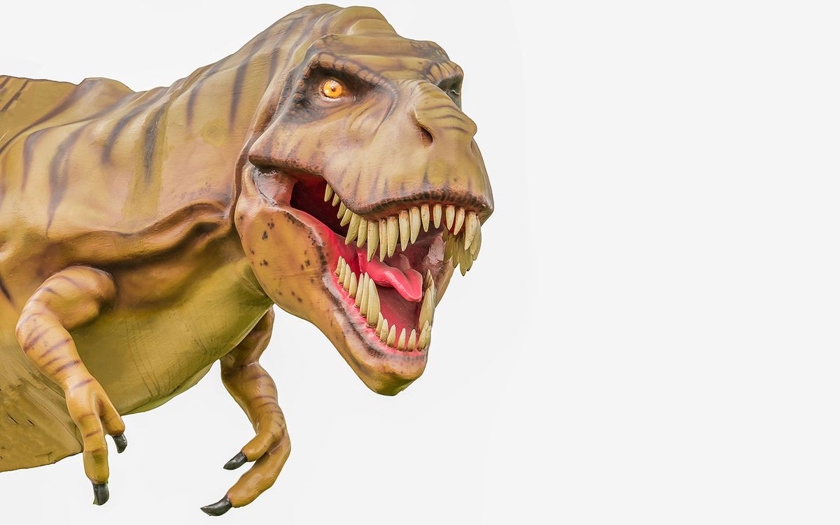 T. rex may have had lips like a modern lizard's