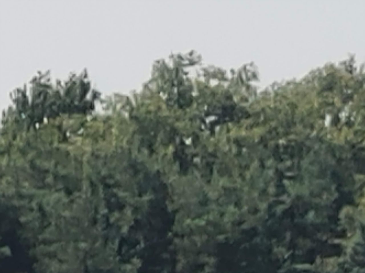 ...60x zoom on that same image! Image credit: TechRadar