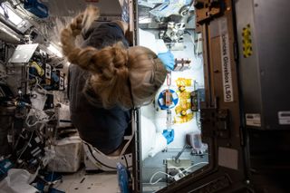NASA astronaut Kate Rubins works on a tissue chip investigation at the International Space Station, in December 2020.