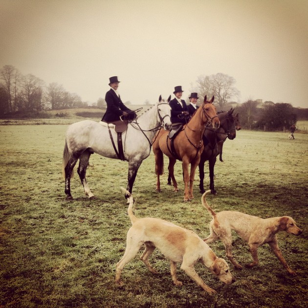 Essex and Suffolk by Hollie Bostock