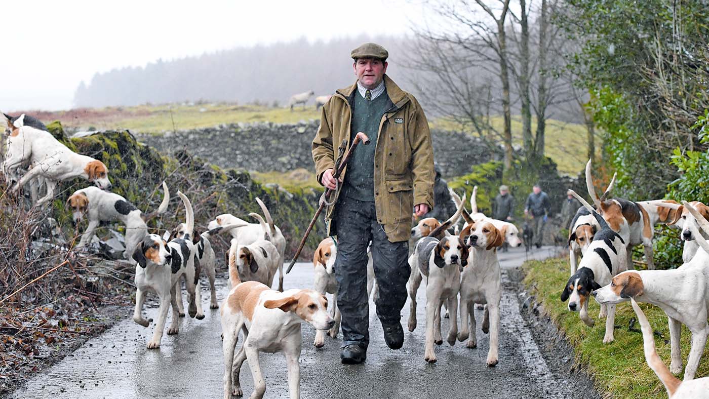Coniston hunt 27.01.17 Michael Nicholson ( Jt.Mast. &amp;amp; H/Man ) with hounds
