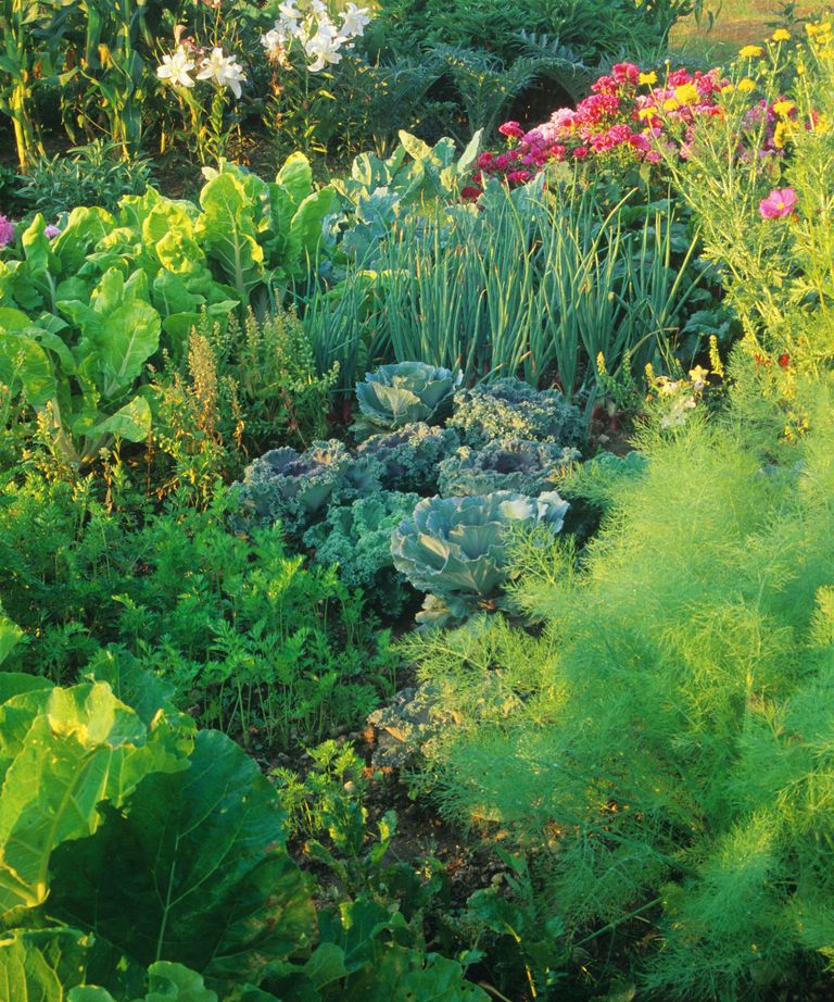 How To Design A Potager Garden For Vegetables And Flowers | Gardeningetc