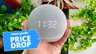 Echo Dot with Clock (5th Generation) in hand with house plants in background