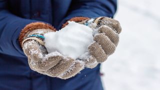 Image of a person's hands holding a snowball