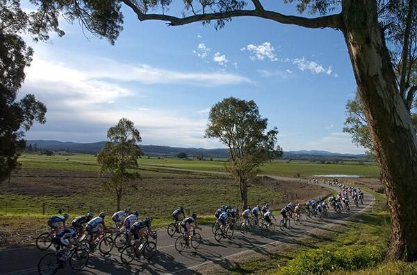 The tour snakes it's way towards the township of Bruthen on the eighth stage from Lakes Entrance to Metung.