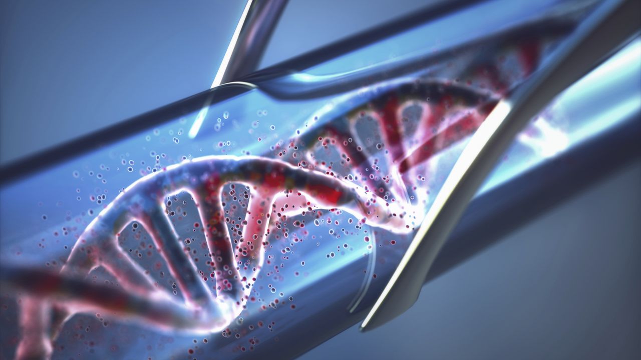 Bio Synergy DNA and Epigenetics Test