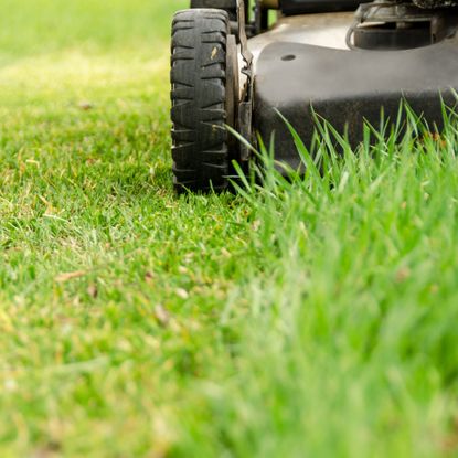 How to clean a lawn mower - expert tips to keep yours in working order ...