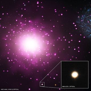 Densest Galaxy M60-UCD1