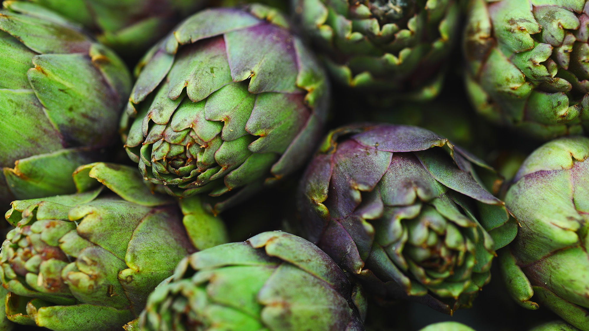 Artichokes
