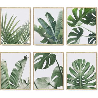 set of six botanical prints