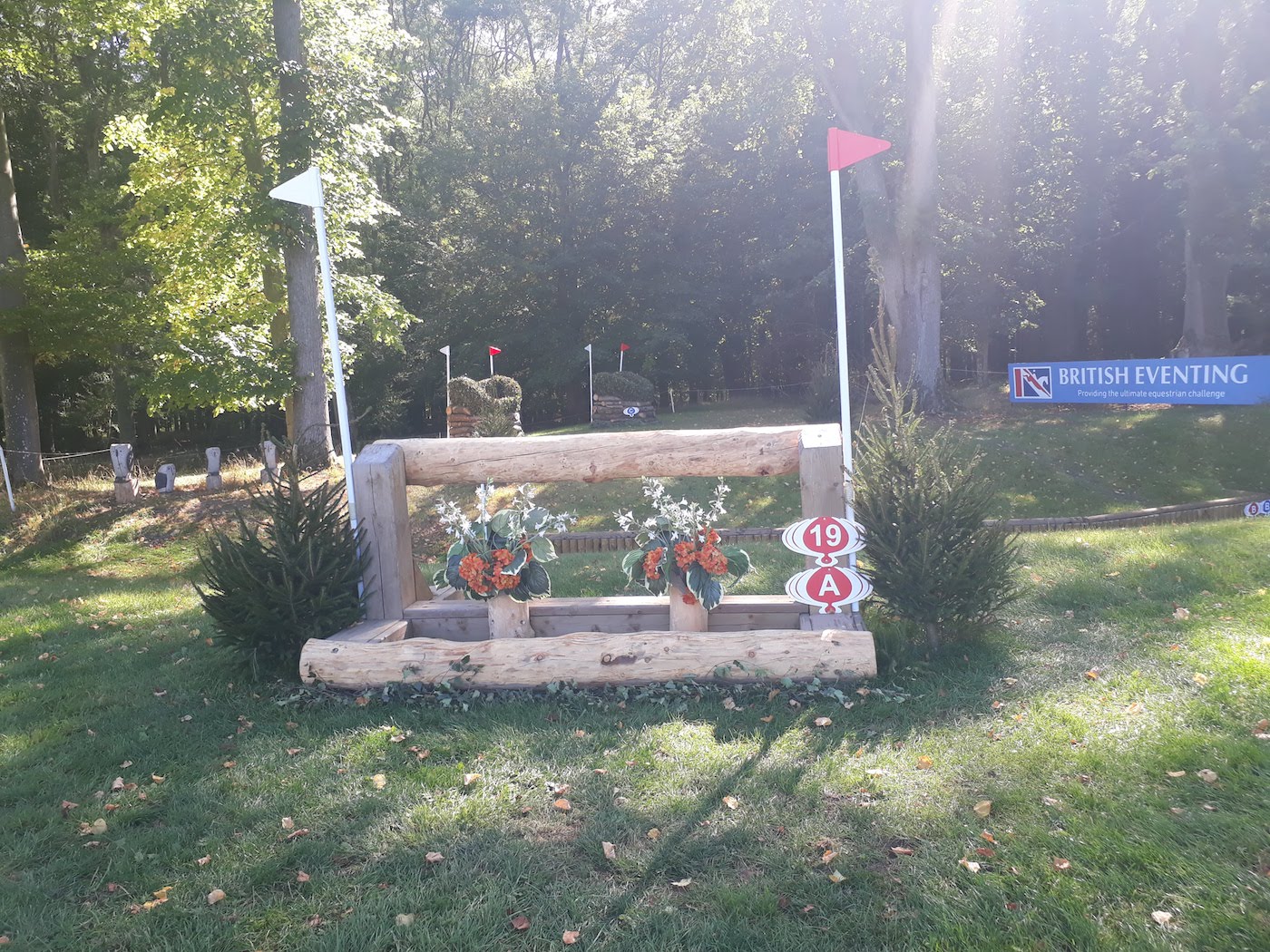 Fence 19a