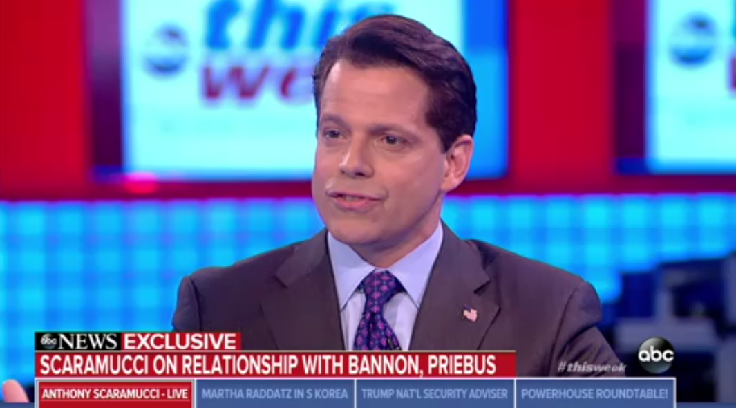 Anthony Scaramucci on ABC News