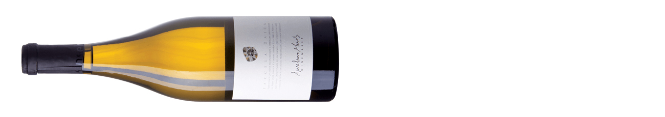 Anselmo Mendes, Parcela Unica Alvarinho, Mon&amp;ccedil;&amp;atilde;o e Melga&amp;ccedil;o 2020