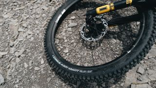 Schwalbe Albert Radial gravity tire