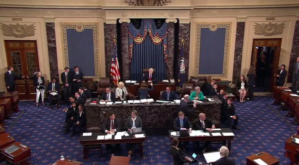 Protesters heard on the Senate floor.